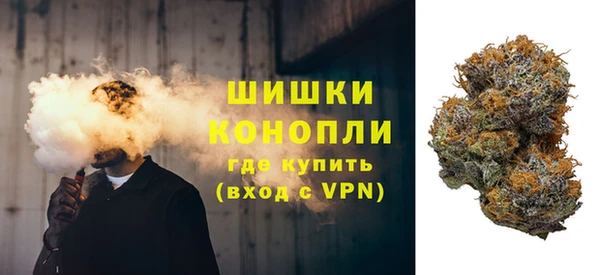 крисы Верхний Тагил