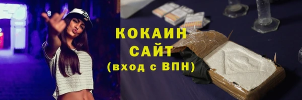 крисы Верхний Тагил