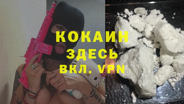 дживик Верея