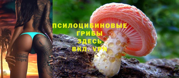 твердый Володарск