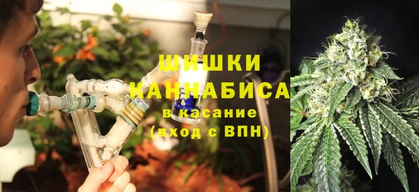 дживик Верея