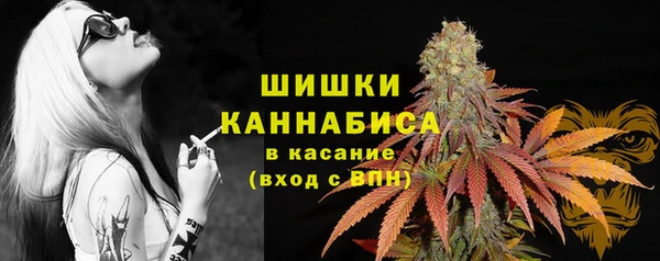 крисы Верхний Тагил
