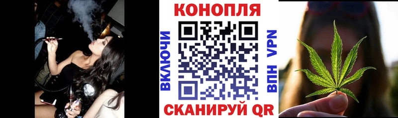 Бошки Шишки VHQ  Мегион 